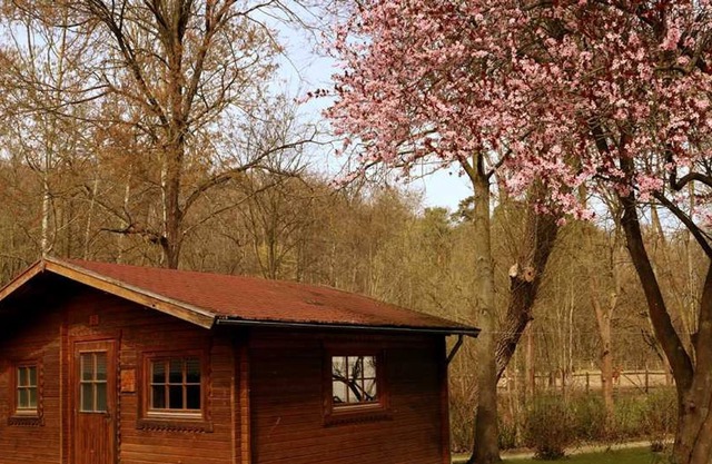 Bungalow Haus C1 - Schullandheim