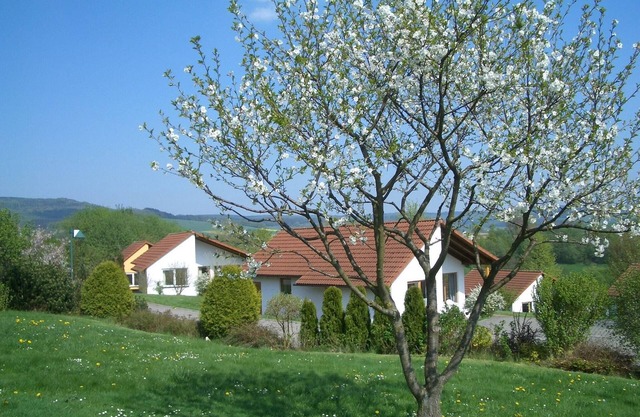 Bungalow in Uslar mit Gartenterrasse
