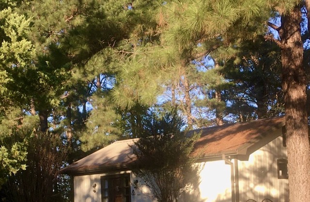 Bungalow in the Pines