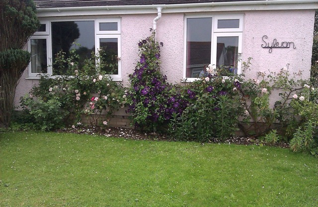 Bungalow, ganz in der Nähe des Zentrums von St. Davids und in einer ruhigen Sackgasse