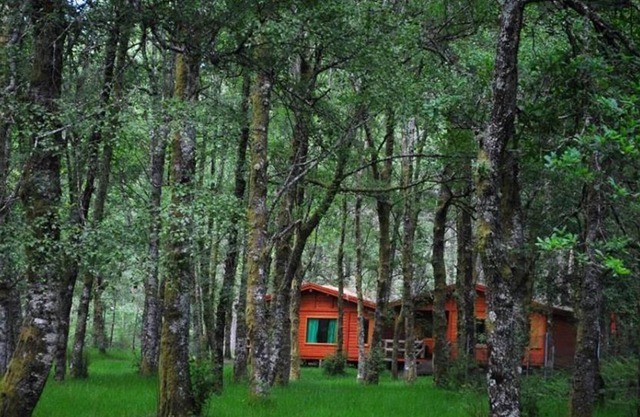 Bungalows da Peneda 3 - Nationalpark Peneda-Gerês