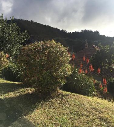 Bungalows Do Amparo