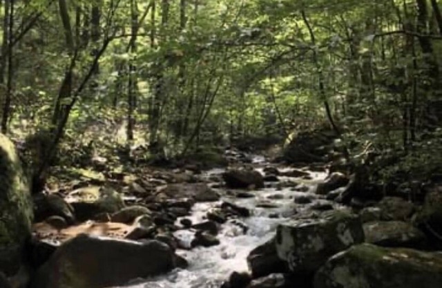 Bunkhouse at English Mountain-Unlimited creek access-Farm Views