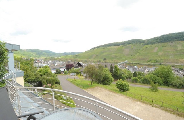 Burg Eltz - Ferienhaus Panorama Mosel