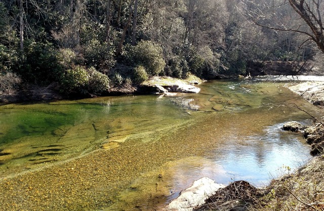 Burnsville, NC - Awesome 40 Acre Retreat