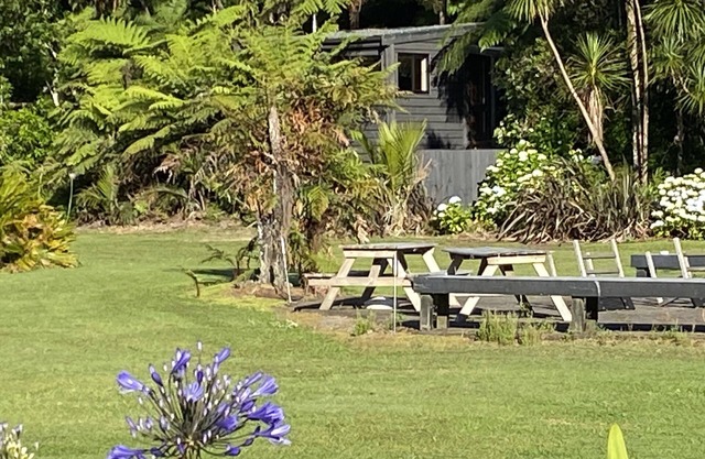 Bush Edge Studio
