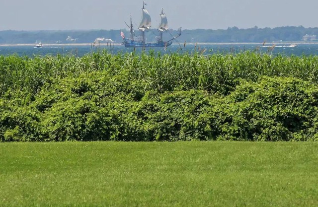 Buzzards Bay farmhouse with field and beach