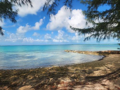 By the Bay - Brand New Apartment, Steps to the Sea, Walk to Town apts