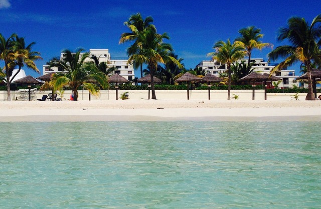 C. B. 1503 - Freeport Bahamas Freeport Port Lucaya Tropical Paradise!