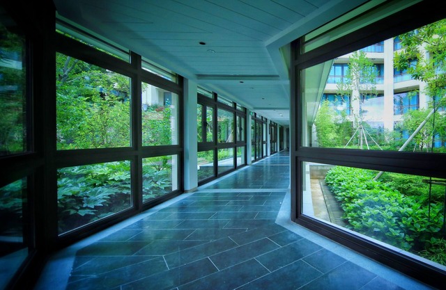 C&D Resort Wuyishan