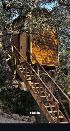 Cabaña del árbol Lavagarural