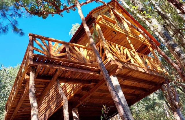 Cabaña en el Bosque de San José del Pacífico 4