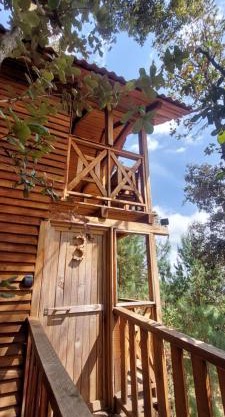 Cabaña en el Bosque de San José del Pacífico 3
