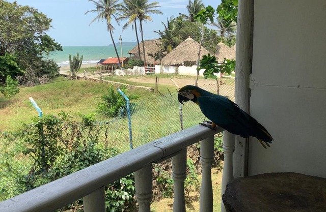 Cabaña kitesurf playa palmarito