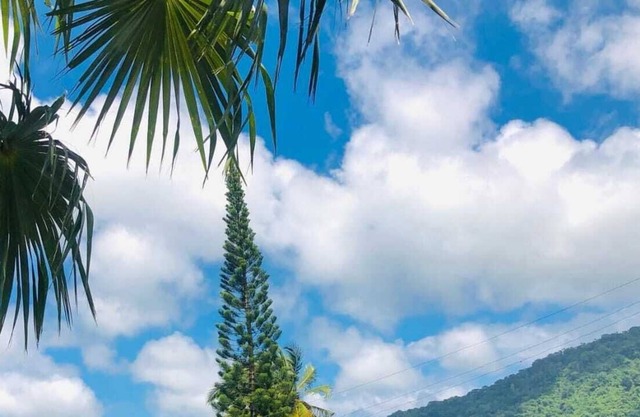 Cabaña la hamaca grande