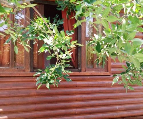 Cabaña Los Cardenales