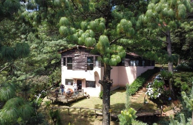 Cabaña “Los Pinabetes”