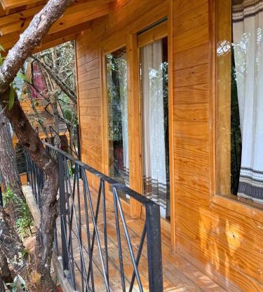 Cabaña Orquídea at Casa Elba