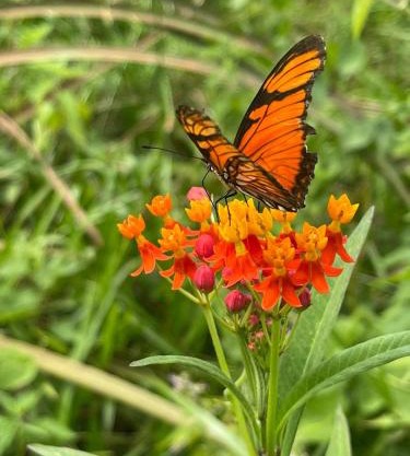 Cabañas en Reserva Privada Bahía Santa Ana