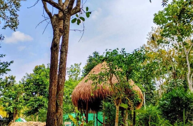 Cabañas la orquídea