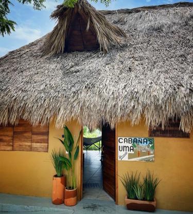 Cabañas Uma 1