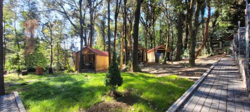 Cabañas Vive el Bosque