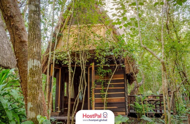 Cabaña Eco Friendly | Desconectar para conectar
