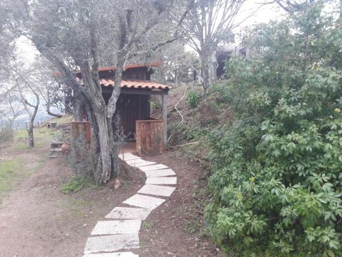 Cabana da Oliveira