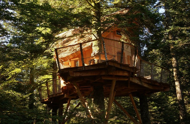 Cabane Meïzou Matà-Kabine-Eigenes Badezimmer-Blick auf den Wald