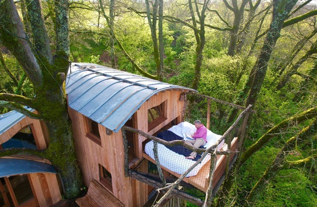 Cabane perchée / sauna & cold bath / shared natural swimming pool