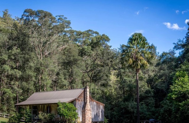 Cabbage Tree @ Hidden Valley Retreat Cottages