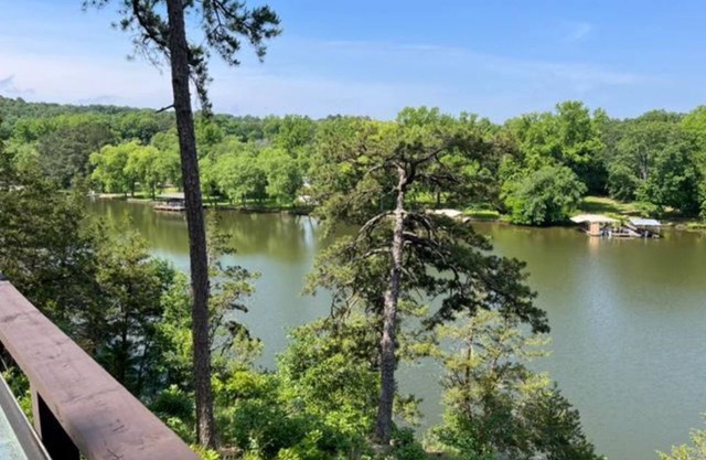 Cabin #18 Hillside Hideaway, small dog, 45 lb or under with 99 fee. Great View