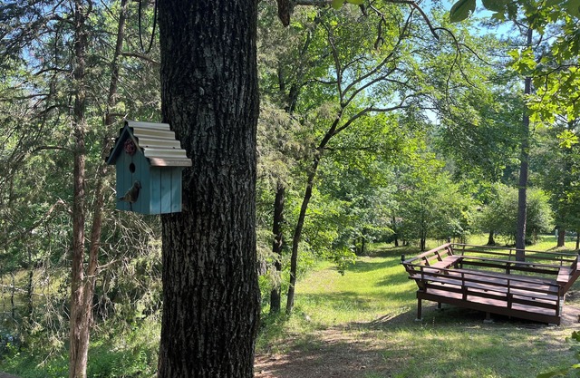 Cabin #20 The Last Resort on the Lake