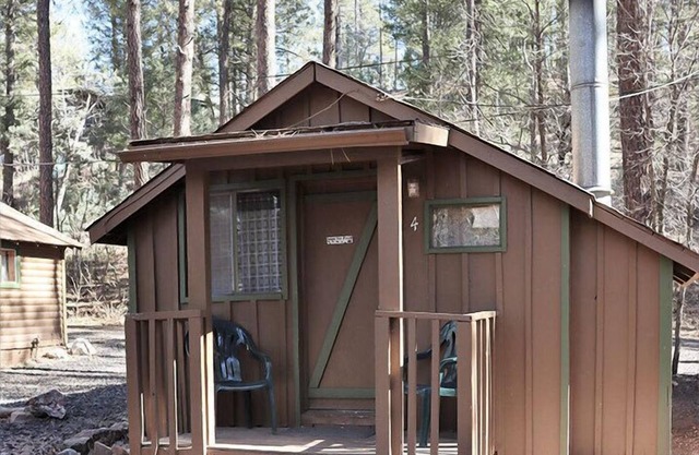 Cabin #4 - Studio with fireplace