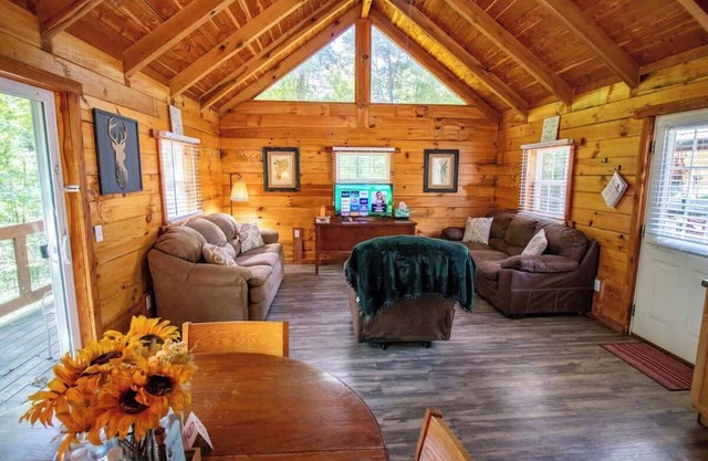 Cabin 5