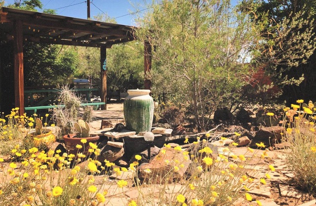 Cabin 5 - The Cactus Wren at Spin & Margie’s