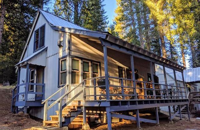 Cabin #7