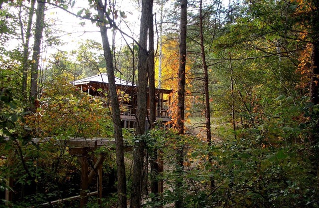Cabin by the Creek – A Peaceful Hideaway in the Trees