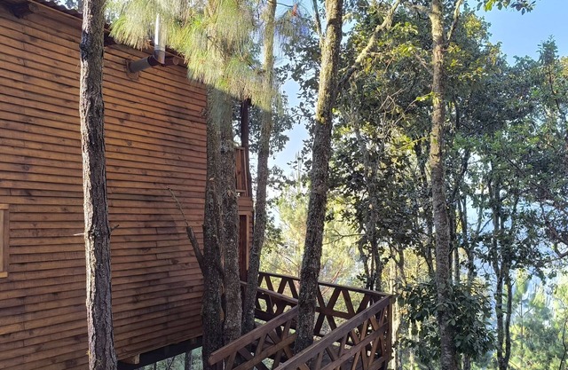 Cabin in San Jose del Pacifico Forest 5