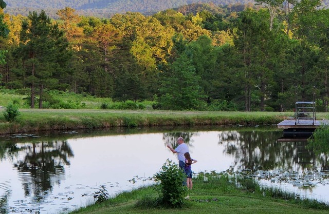 Cabin in Ouachita mountains with hot tub and great views!