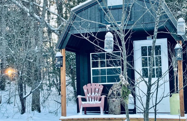 Cabin in the Forty Acre Wood