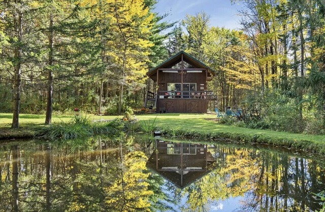 Cabin in the woods near the Finger Lakes