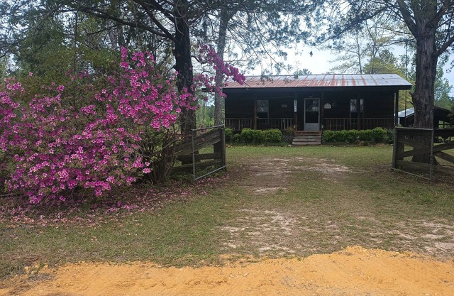 Cabin in the Woods