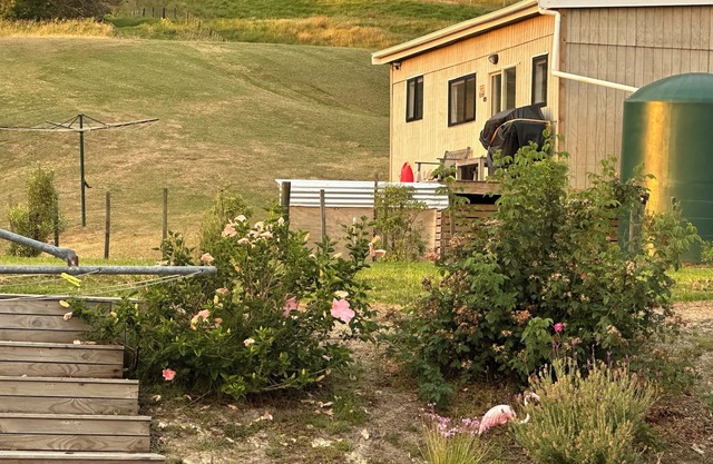 Cabin Kaipara bliss/ peaceful, . Pet friendly