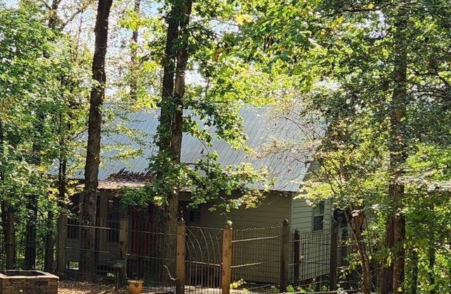 Cabin on the banks of the Chunky River, secluded and quiet. Kayaking available.