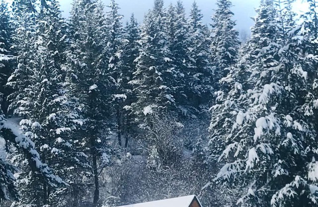 Cabin Rentals at Guest Lodge in North Okanagan