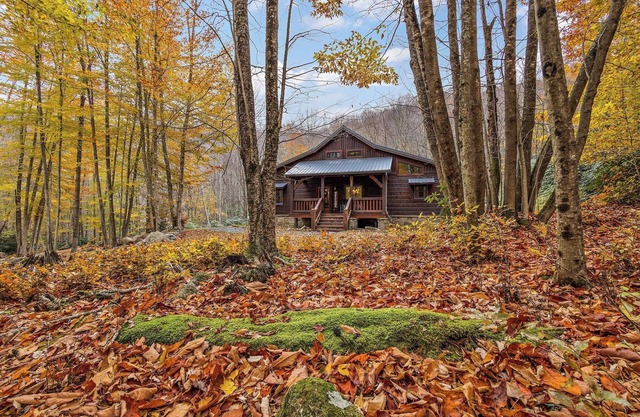 Cabin with a large deck and fireplace, hot tub, grill, & creek - dog-friendly