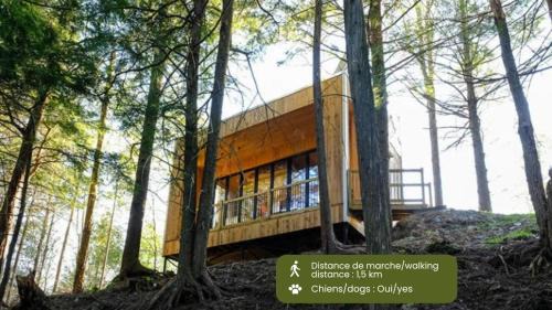 Cabin Zoobox 84