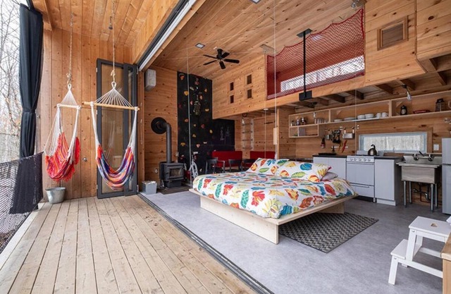 Cabin Zoobox des cervidés
