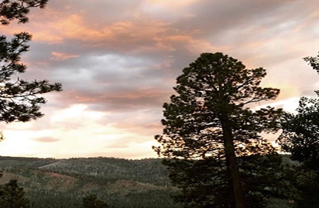 Cabin6 - Studio- Views Vallecito Lake/San Juan Mntns